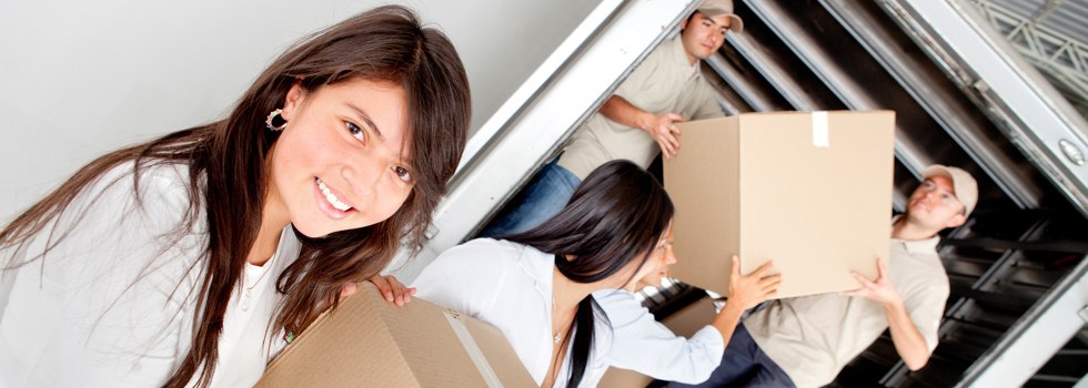 Professional Removalists Clarenza